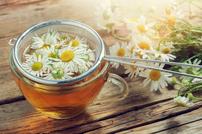 Chamomile - Herbal Wisdom Wednesday