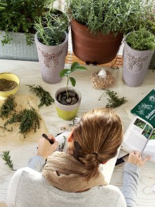 Back to School Wellness