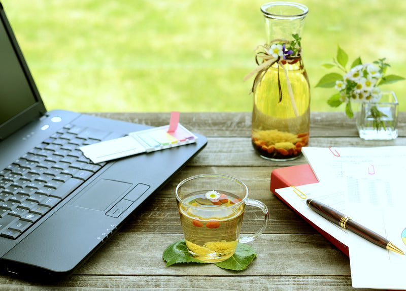 Just Learning about Herbs & their Medicinal Properties?