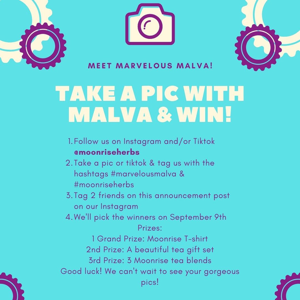 Take a pic with Malva & Win