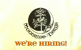 We are Hiring! P/T Customer Service Position