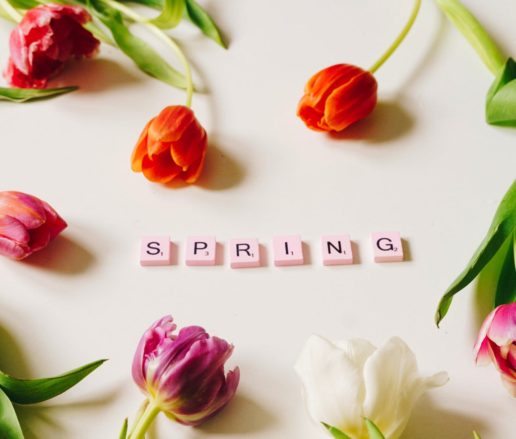 Just a bit of TikTok fun....