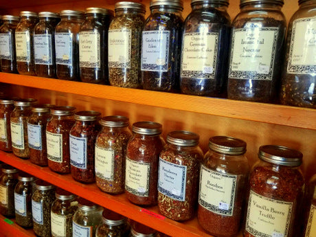 Moonrise December Newsletter is here!