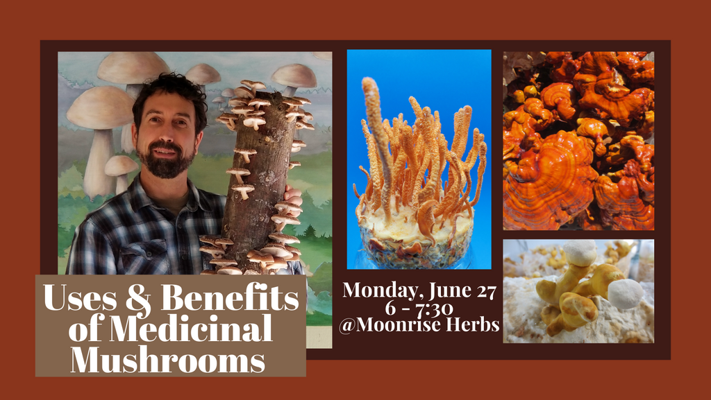 Upcoming Mushroom Class!
