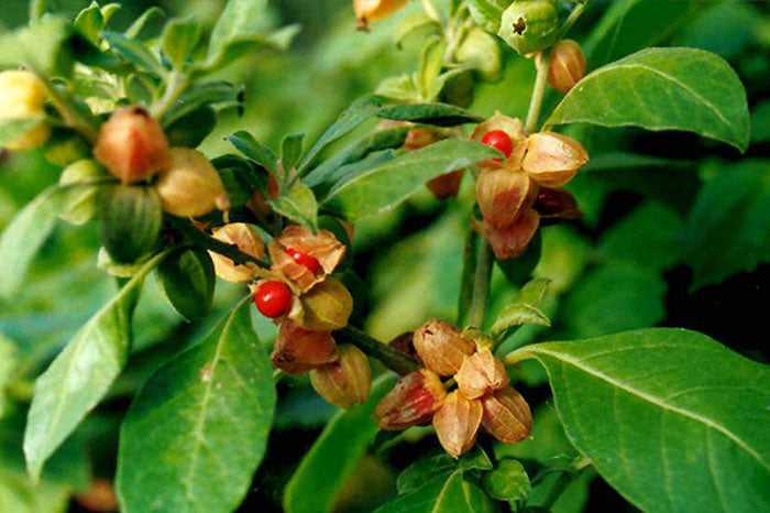 Our April Newsletter is out!