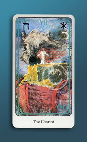 The Chariot - Tarot & Tea