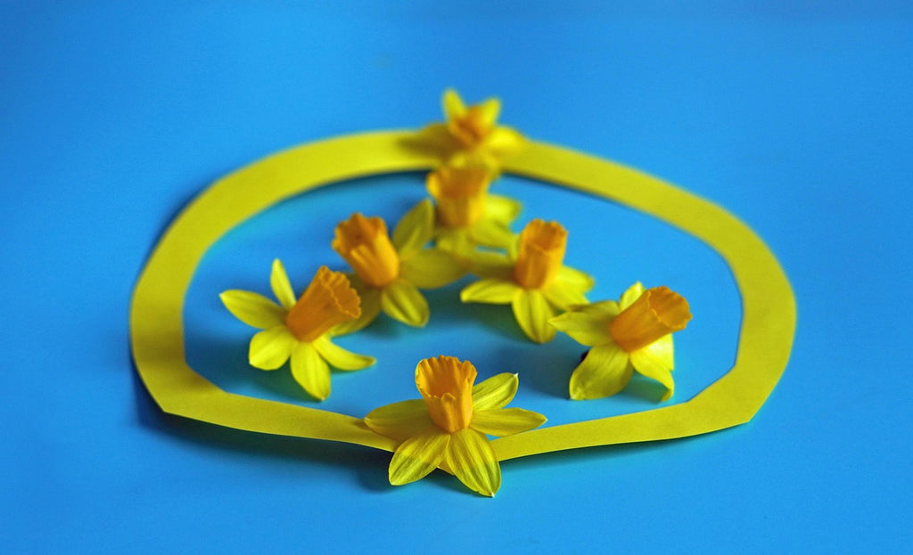 Symmetry of the Season by Oak Chezar