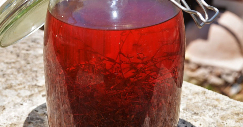 Free Herbal Oil Webinar with Kami McBride