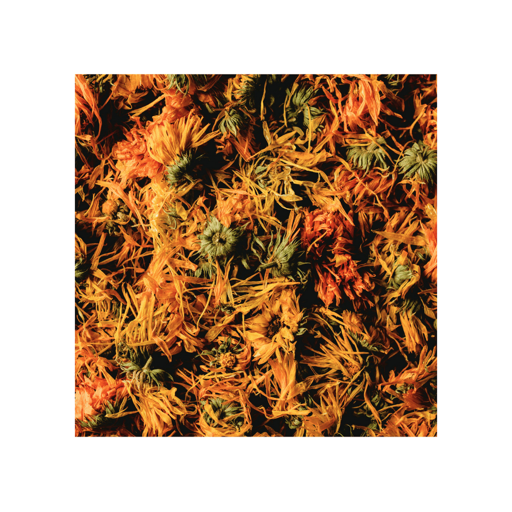 Flores de Caléndula, Orgánicas 1oz