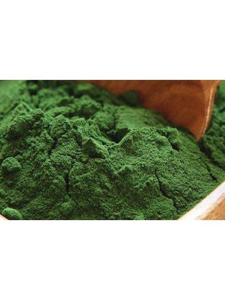 Clorella en polvo, orgánica 1oz