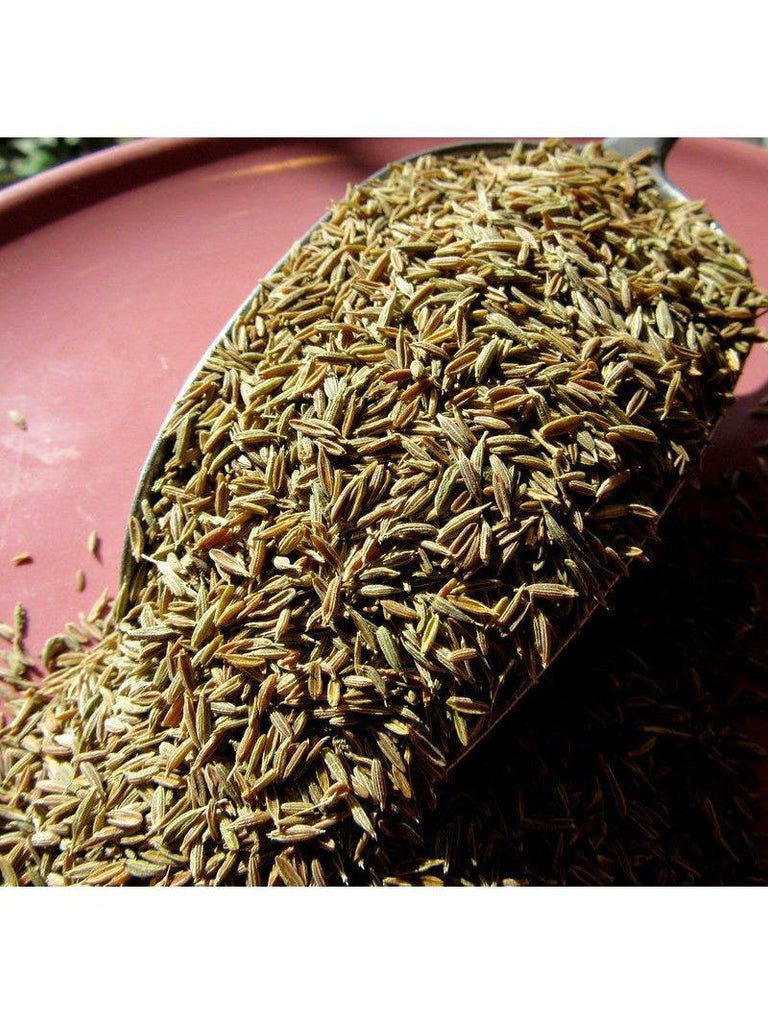 Cumin Seed Whole, Organic 1oz
