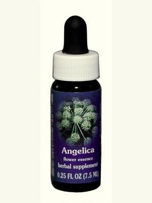 FES Angelica