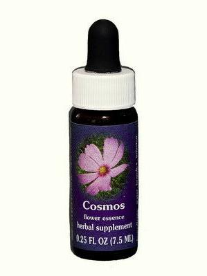FES Cosmos
