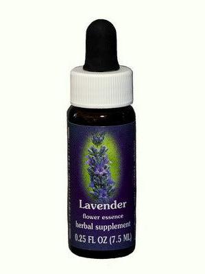 Lavanda FES