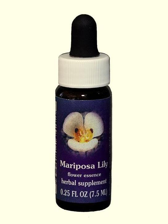 FES Mariposa Lirio
