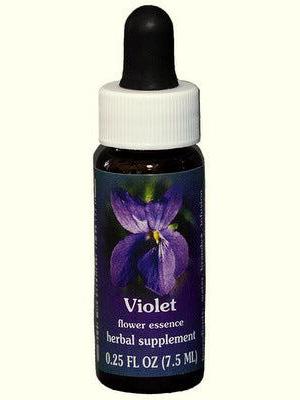 FES Violeta