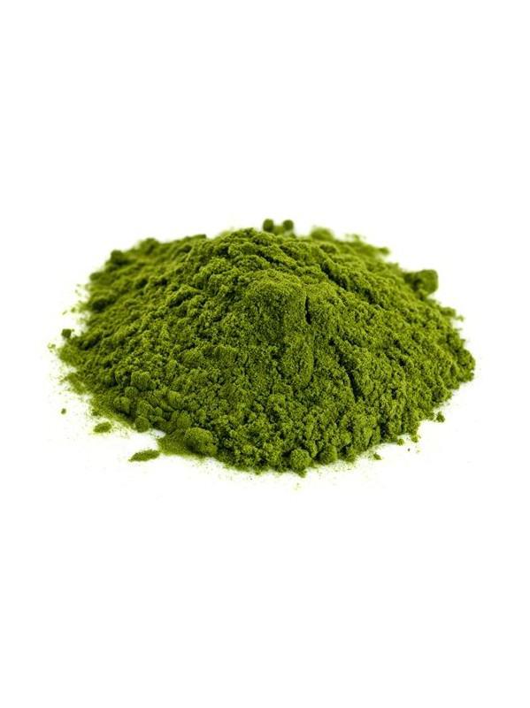 Mezcla en polvo Green Power, orgánica 1oz