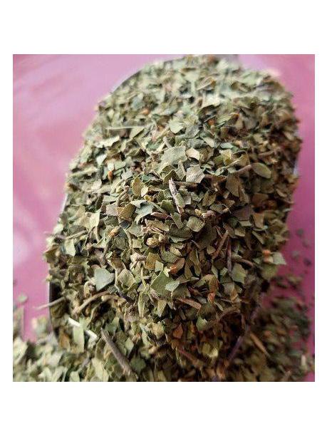 Hoja de Gymnema, Orgánica 1oz