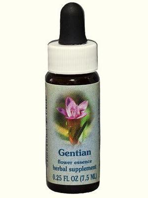 FES genciana