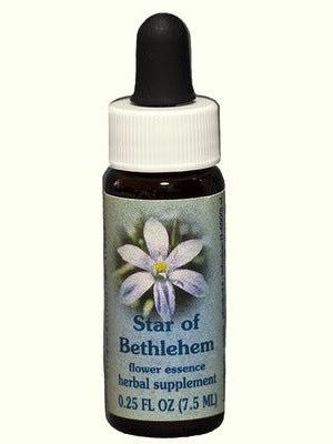 FES Estrella de Belén