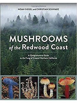 Hongos de la costa de Redwood