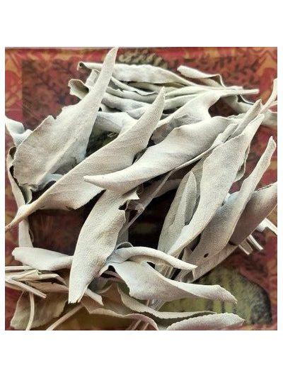 Salvia Blanca, Orgánica 1oz