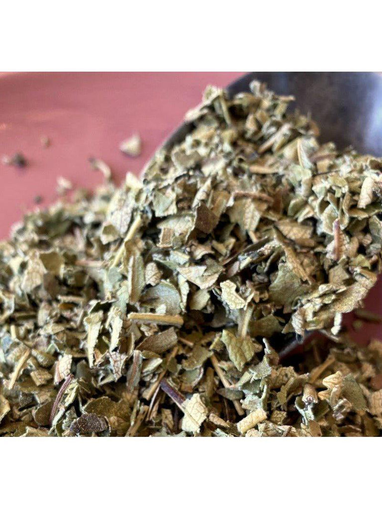 Hoja de Yerba Santa, elaborada de forma silvestre, 1 oz