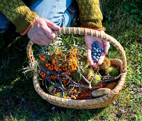 Foraging in and around Arcata!