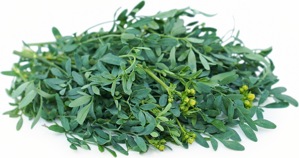 Rue leaf organic, 1oz