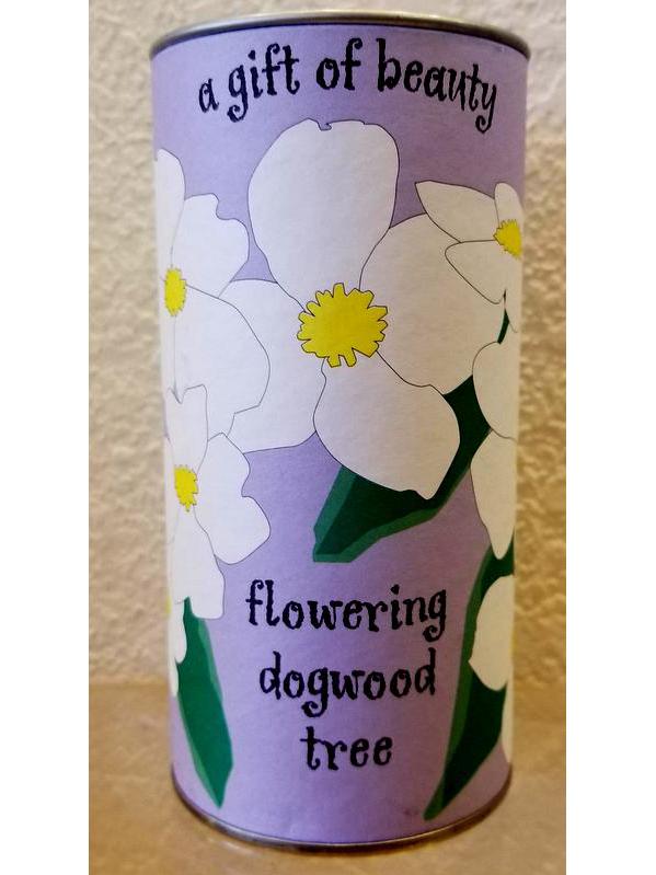 Flowering Dogwood Tree Seed Kit