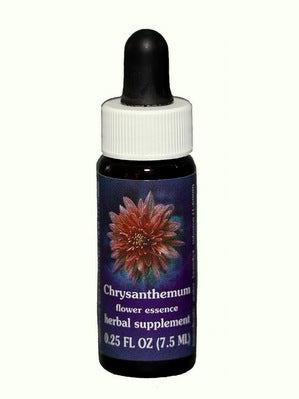 FES Chrysanthemum