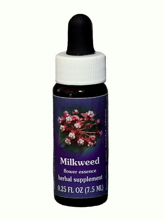 FES Milkweed