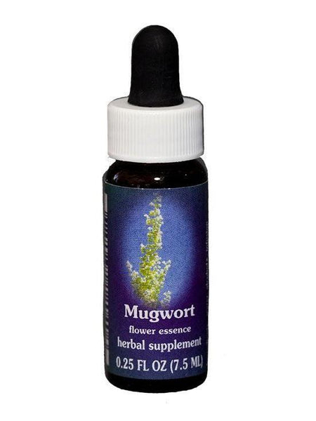FES Mugwort