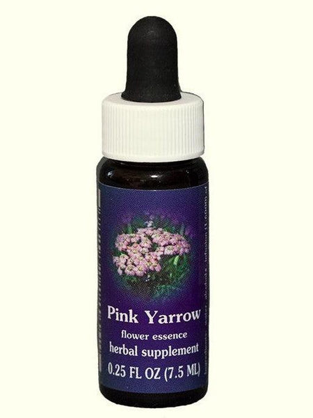 FES Pink Yarrow
