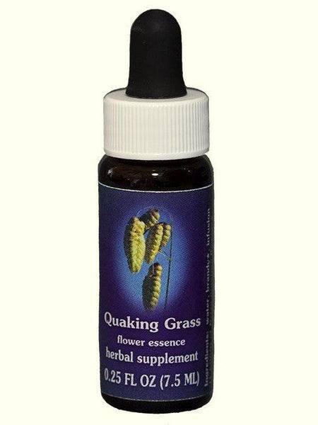 FES Quaking Grass