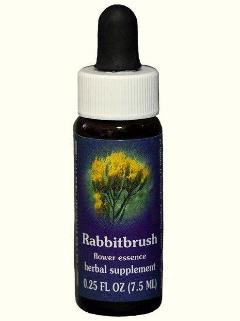 FES Rabbit Brush