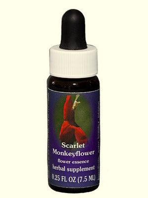 FES Scarlet Monkeyflower