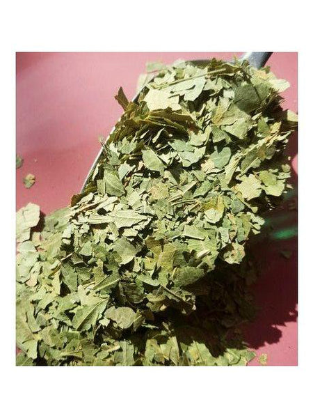 Hoja de neem, 1 oz