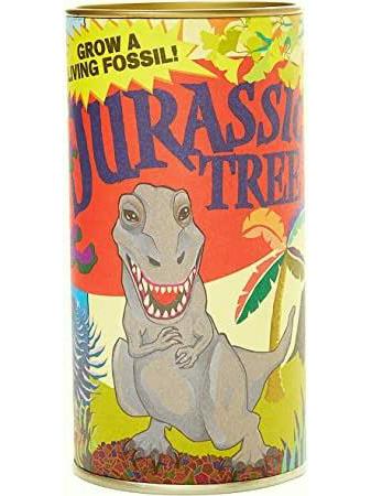 Jurassic Tree Ginkgo Seed Kit