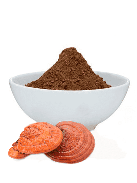 Reishi Mushroom Powder, organic 1oz