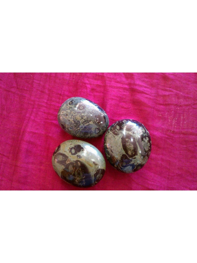 Kambaba Jasper Pieces, Medium
